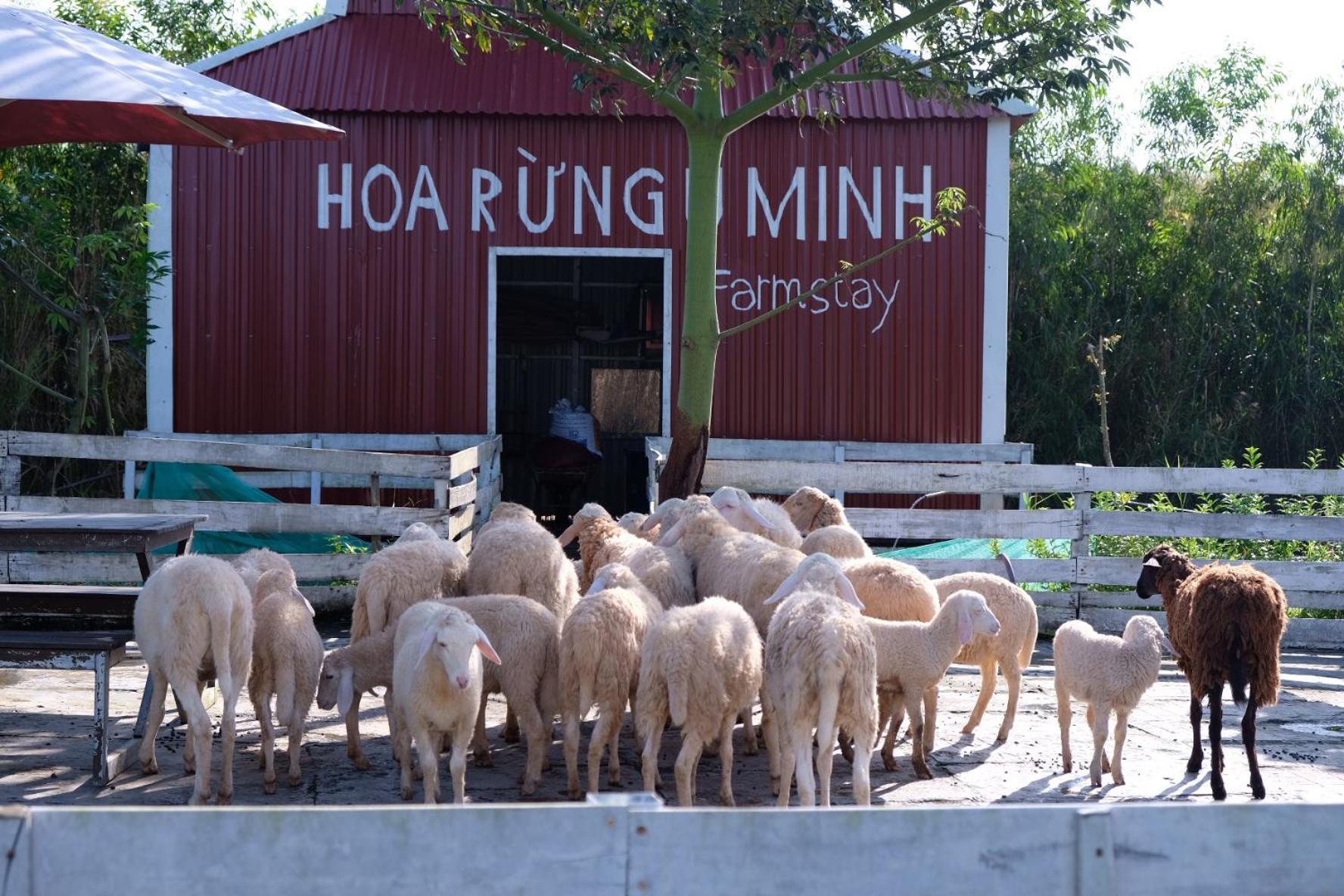 Bungalow - Farmstay Hoa Rung U Minh Ca Mau Exterior photo